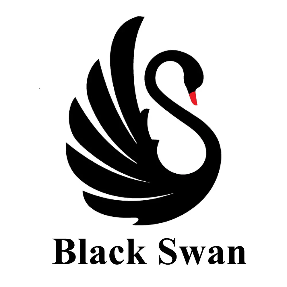 BlackSwan Business Setup Services
